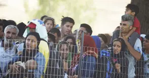 Работодатели искат да назначат  бежанци, но кандидати няма