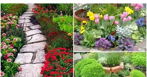 Какво трябва да направим в градината през есента?