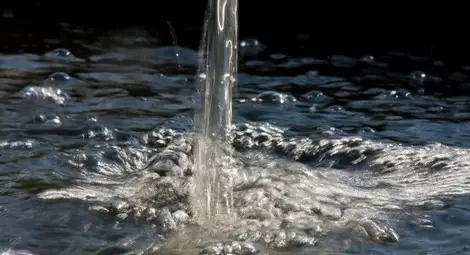 Възрастно семейство платило сметка за вода като за хотел с басейн