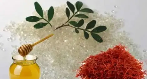 Диетолози представиха 12 чудодейни лечебни гръцки суперхрани