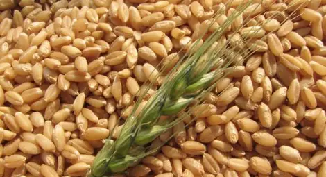 Опасно: Пробутват ни лимец от Чернобил Опасно: Пробутват ни лимец от Чернобил