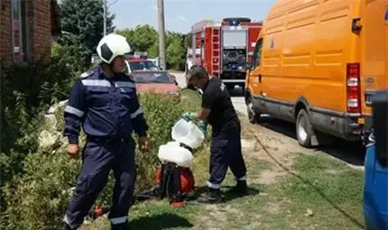 Още едно животно умря от антракс в Бозвелийско Още едно животно умря от антракс в Бозвелийско