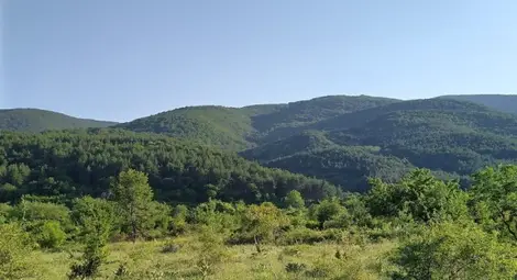 Слънчев и топъл ще е последният юнски ден Слънчев и топъл ще е последният юнски ден