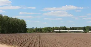 Фермери наеха още 410 декара държавни ниви