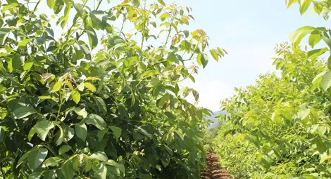 Фирма продадена на цената на кола трета ръка малко преди присъда да върне 226 000 субсидия