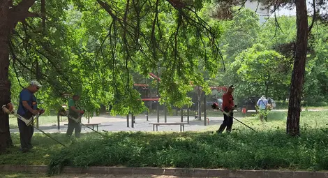 Снимка: Община Русе Снимка: Община Русе