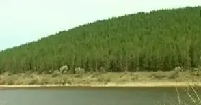 Язовир „Борово“ с умишлено запушен преливник и повреден изпускател