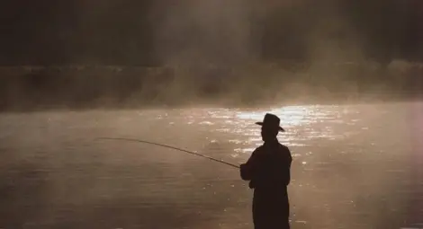 Нови седем бракониерски  мрежи намериха в Дунав
