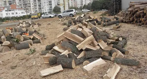 Търговци на дърва: Който е предпочел почивка през лятото-зимата ще стои на студено