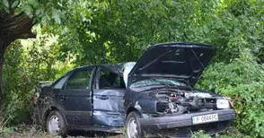 Кола се заби в дърво след пирует на пътя в дъжд