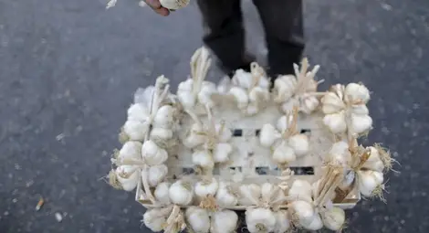 Старият чесън &ndash; продукт №1 срещу сърдечни болести