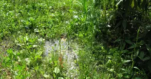 ВиК се зае да пресуши блатото на „Доростол“