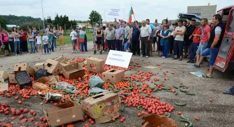1600 земеделци заявиха протест на Дунав мост