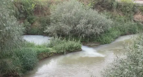 Фирма от Западна промишлена зона засечена да пуска цветни води в Лома