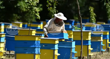 Снимка: БТА