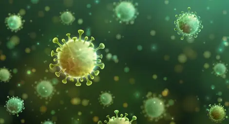 В 4 области на страната няма нови случаи на COVID-19 В 4 области на страната няма нови случаи на COVID-19