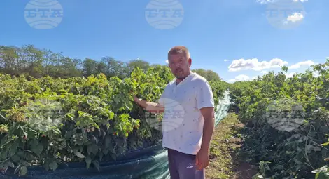 Снимка: БТА