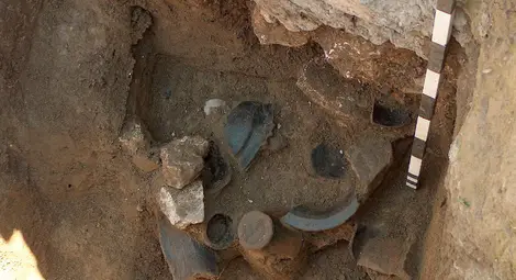 Изследване акцентира върху археоботаниката от ямното поле на Сексагинта Приста