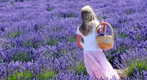 Растения, които гонят тревогата