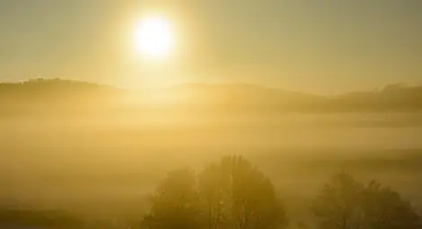 Пряката слънчева светлина унищожава COVID-19