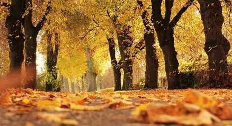 Топло и приятно - до 19 градуса днес