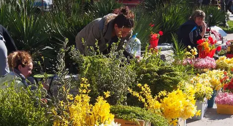 Цветница е!