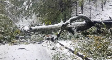 Проходите Петрохан и Беклемето остават затворени за неограничено време