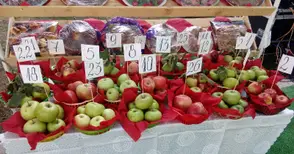 Ябълковото село Екзарх Йосиф отново се готви за уникалния си празник