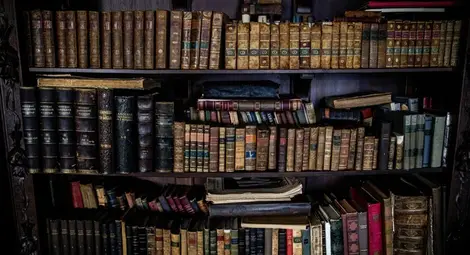 Книголюбител плати 1 550 долара за забравени библиотечни книги у дома