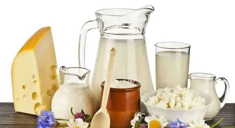 Дневна доза калций за по-дълъг живот