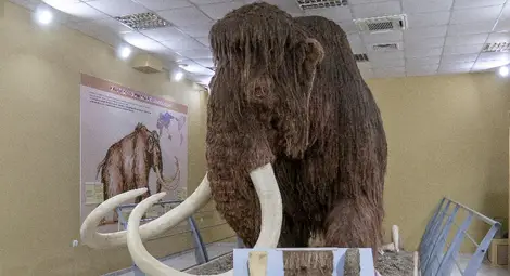 "Екомузей. Първите 10 години" - разказ от първо лице за дългия път и осъществената мечта