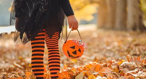 Хелоуин – лакомство или пакост Хелоуин – лакомство или пакост