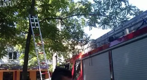 Пожарникари свалиха пищящо момиче, заклещено в клоните на дърво