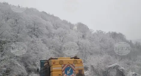 Снимка: БТА Снимка: БТА