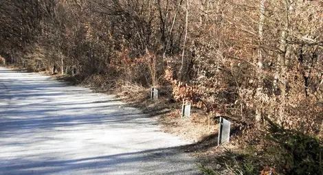 1,1 км мантинели откраднати от селски път