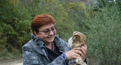 Бухал и улулица литнаха на воля в природния парк Бухал и улулица литнаха на воля в природния парк