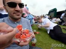 Ягодите са полезни срещу кожните алергии