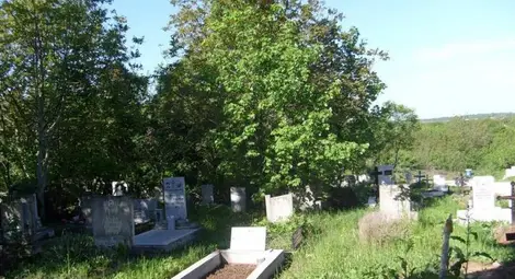 Разширяват гробищните паркове догодина Разширяват гробищните паркове догодина