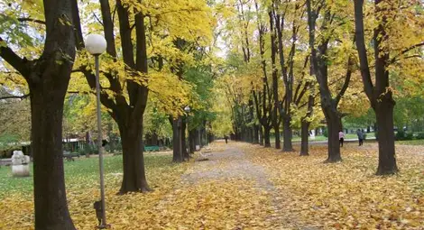 25.6 градуса разгорещиха ноемврийската есен