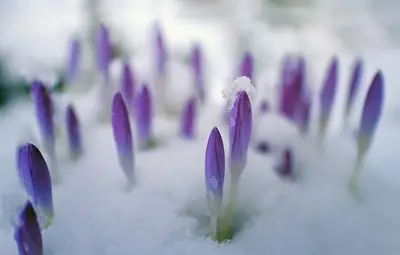Средната температура за март се очаква да бъде между 5 и 9&deg;, в планините - между -8 и -2&deg;