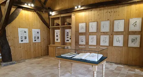 Идея за разходка около Коледа: На гости на крал Чарлз в Румъния