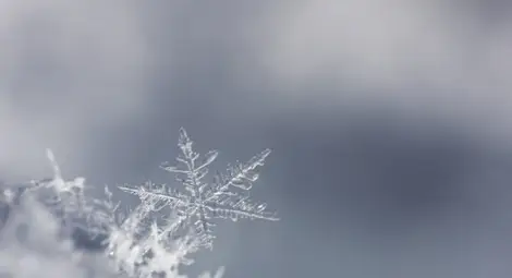 Слаби превалявания от сняг, температурите още ще се понижат