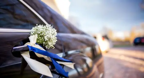 Пътни полицаи в Турция глобиха 37 шофьори от сватбарска автоколона Пътни полицаи в Турция глобиха 37 шофьори от сватбарска автоколона