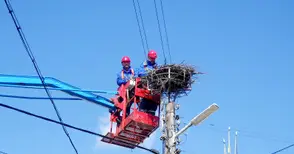 „Енерго-Про“ монтира платформа за щъркелови гнезда в Мартен