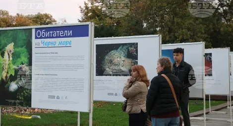 Снимка: БТА Снимка: БТА