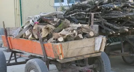 Две каруци с дървесина конфискувани от горските Две каруци с дървесина конфискувани от горските