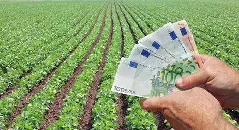 2122 земеделци от Русенско получат  първи плащания за площ през декември