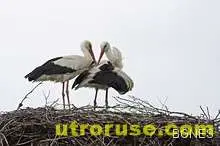 Честита Първа пролет!