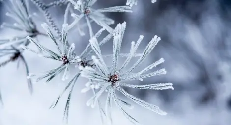 Новата седмица започва с облаци, сняг и студ