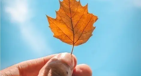 Слънцето побеждава облаците в цялата страна следобед